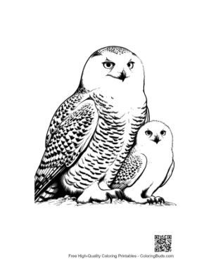 Thumbnail: Snowy Owl Mother and Cute Owlet