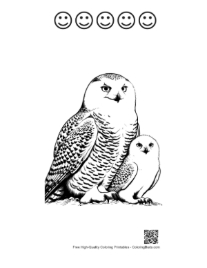 Thumbnail: Snowy Owl Mother and Cute Owlet Printable and 5 Happy Face Outline