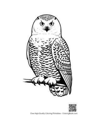Thumbnail: Snowy Owl Perched Fiercely on Branch
