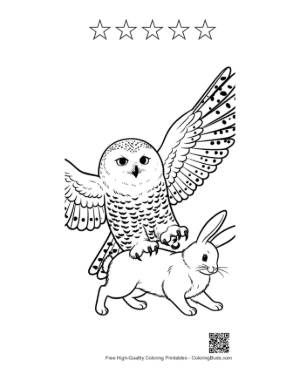 Thumbnail: Snowy Owl Snatching Rabbit in Flight Printable and 5 Star Outline