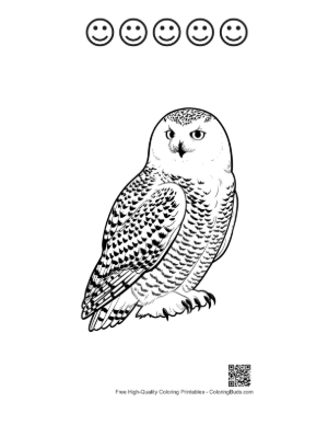 Thumbnail: Snowy Owl with Piercing Gaze in Line Art Printable and 5 Happy Face Outline