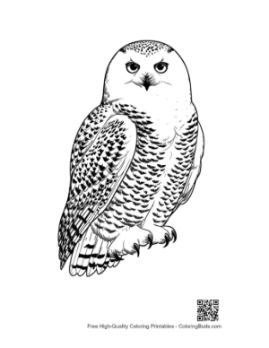 Thumbnail: Snowy Owl with Piercing Gaze