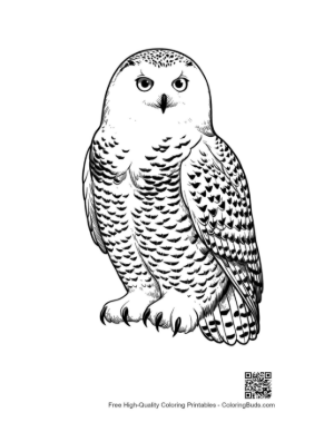 Thumbnail: Snowy Owl with Piercing Gaze