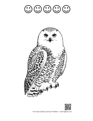 Thumbnail: Snowy Owl with Piercing Gaze Printable and 5 Happy Face Outline