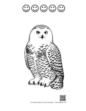 Thumbnail: Snowy Owl with Piercing Gaze Printable and 5 Happy Face Outline