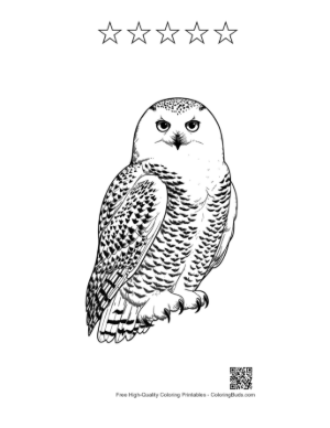 Thumbnail: Snowy Owl with Piercing Gaze Printable and 5 Star Outline