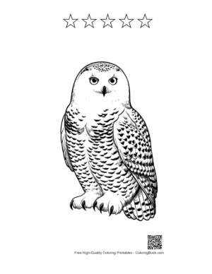 Thumbnail: Snowy Owl with Piercing Gaze Printable and 5 Star Outline