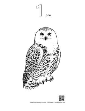 Thumbnail: Snowy Owl with Piercing Gaze Printable Outline Number 1