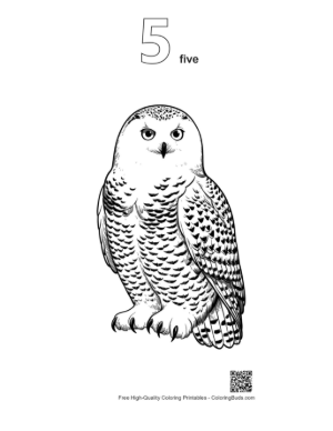 Thumbnail: Snowy Owl with Piercing Gaze Printable Outline Number 5