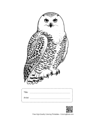 Thumbnail: Snowy Owl with Piercing Gaze Printable with Title and Artist Box