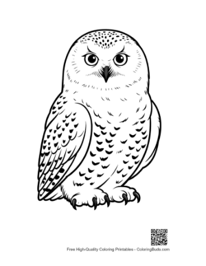 Thumbnail: Snowy Owl with Piercing Stare