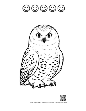 Thumbnail: Snowy Owl with Piercing Stare Printable and 5 Happy Face Outline