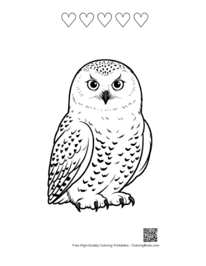 Thumbnail: Snowy Owl with Piercing Stare Printable and 5 Heart Outline