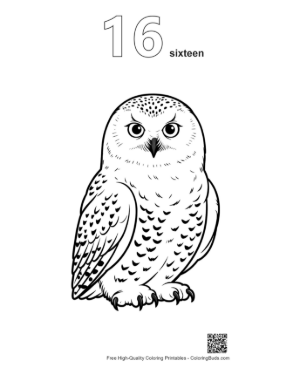 Thumbnail: Snowy Owl with Piercing Stare Printable Outline Number 16