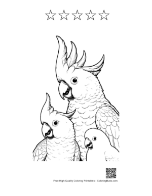 Thumbnail: Cheerful Cockatoo Family Line Art Printable and 5 Star Outline