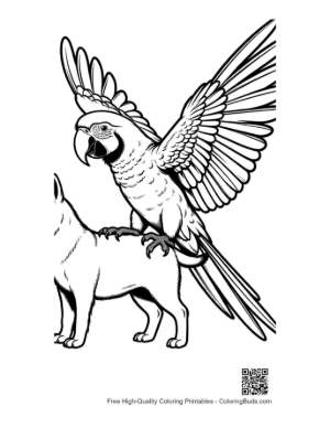 Thumbnail: Cheerful Macaw Perched on Fluffy Dog's Back