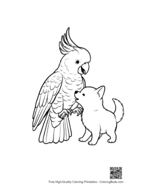 Thumbnail: Cockatoo and Chihuahua Puppy's Friendly Nuzzle