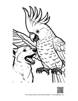 Thumbnail: Cockatoo and Husky in Playful Tug-of-War