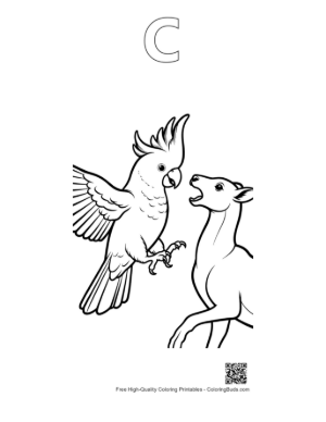Thumbnail: Cockatoo Squawking at Curious Goat Printable Outline Alphabet C