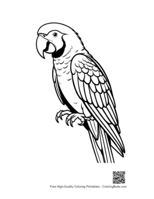 Thumbnail: Expressive Macaw Parrot Line Art