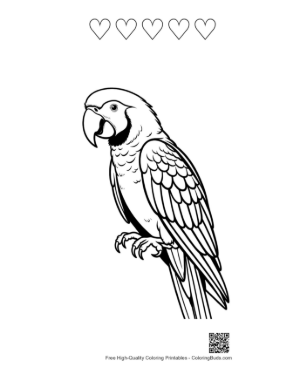 Thumbnail: Expressive Macaw Parrot Line Art Printable and 5 Heart Outline