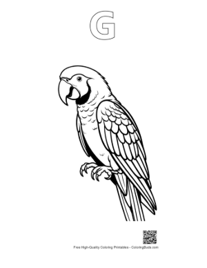 Thumbnail: Expressive Macaw Parrot Line Art Printable Outline Alphabet G