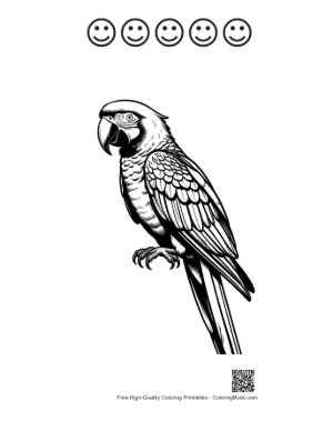 Thumbnail: Majestic Hyacinth Macaw in Line Art Printable and 5 Happy Face Outline