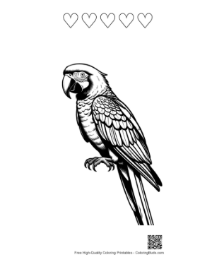 Thumbnail: Majestic Hyacinth Macaw in Line Art Printable and 5 Heart Outline