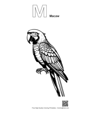 Thumbnail: Majestic Hyacinth Macaw in Line Art Printable Outline Alphabet M Macaw