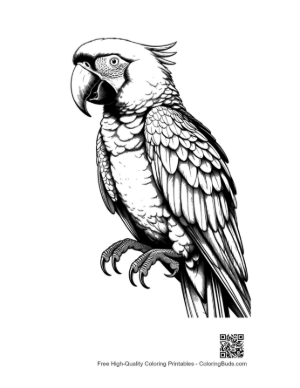 Thumbnail: Majestic Hyacinth Macaw Line Art Portrait