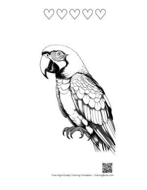 Thumbnail: Majestic Macaw Parrot Line Art Printable and 5 Heart Outline
