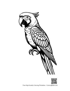 Thumbnail: Majestic Scarlet Macaw Squawking in Line Art