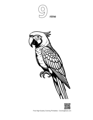 Thumbnail: Majestic Scarlet Macaw Squawking in Line Art Printable Outline Number 9