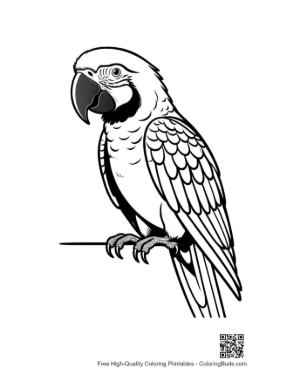 Thumbnail: Majestic White Macaw Perched Alertly