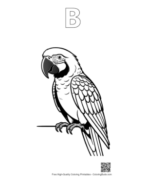 Thumbnail: Majestic White Macaw Perched Alertly Printable Outline Alphabet B