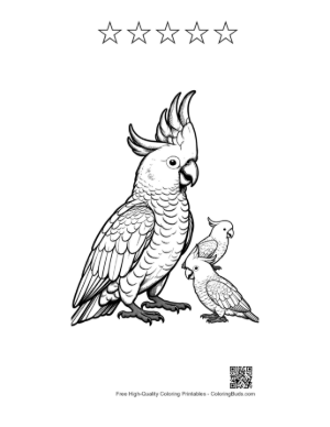Thumbnail: Proud Cockatoo Parent with Two Chicks Printable and 5 Star Outline