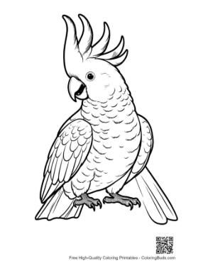Thumbnail: Proud Sulphur-Crested Cockatoo with Raised Crest