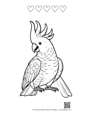 Thumbnail: Proud Sulphur-Crested Cockatoo with Raised Crest Printable and 5 Heart Outline