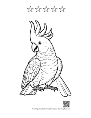 Thumbnail: Proud Sulphur-Crested Cockatoo with Raised Crest Printable and 5 Star Outline