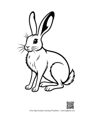 Thumbnail: Cute Jackrabbit Sitting Alertly
