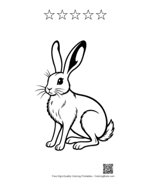 Thumbnail: Cute Jackrabbit Sitting Alertly Printable and 5 Star Outline