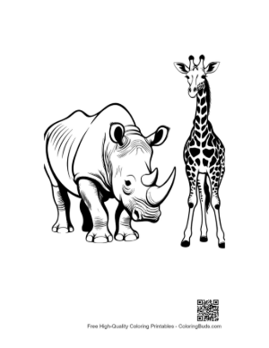 Thumbnail: White Rhino and Giraffe Line Art