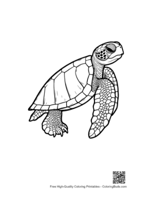 Thumbnail: Cute Baby Sea Turtle Line Art
