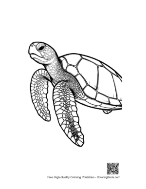 Thumbnail: Cute Baby Sea Turtle Line Art