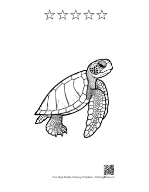 Thumbnail: Cute Baby Sea Turtle Line Art Printable and 5 Star Outline