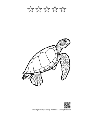 Thumbnail: Cute Baby Sea Turtle Line Art Printable and 5 Star Outline