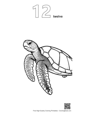 Thumbnail: Cute Baby Sea Turtle Line Art Printable Outline Number 12