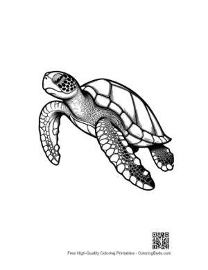 Thumbnail: Cute Baby Sea Turtle Swimming