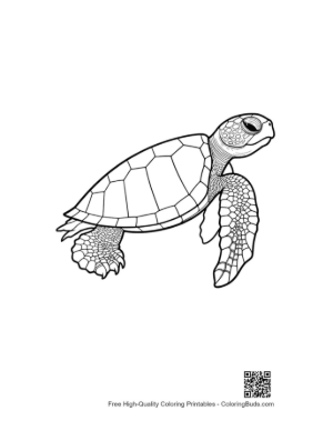 Thumbnail: Cute Hatchling Sea Turtle Line Art