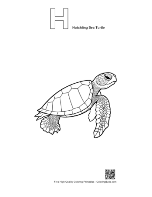 Thumbnail: Cute Hatchling Sea Turtle Line Art Printable Outline Alphabet H Hatchling Sea Turtle